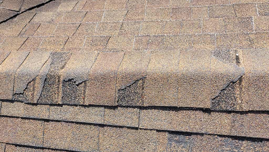 Ridge Shingle Damage.